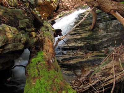 Lilybeth Falls
Taken 4-3-2011
