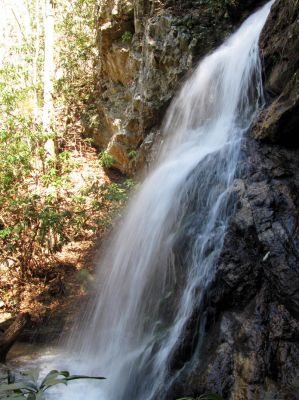 Lilybeth Falls
Taken 4-3-2011
