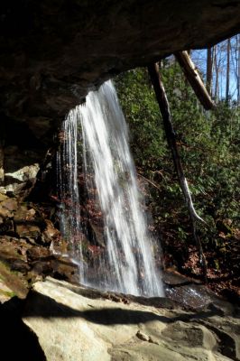 First falls found on Star Branch  (enters into Little Stony Creek)  Taken 12-11-2014
