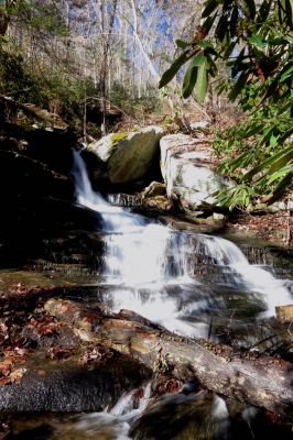 Second  falls found on Star Branch  (enters into Little Stony Creek)  Taken 12-11-2014
