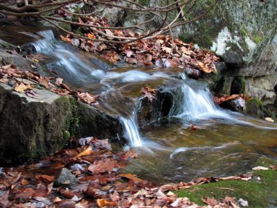 Long Branch Creek
Third set of unlisted falls   11-13-2010
