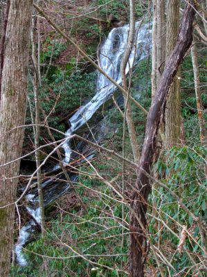 Upper Longarm Branch Falls
Taken on 3-12-2011
