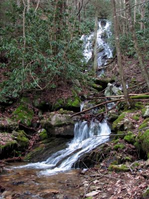 Upper Longarm Branch Falls
Taken on 3-12-2011

