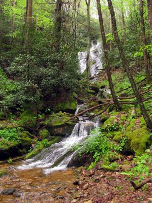 Taken April 25, 2012
