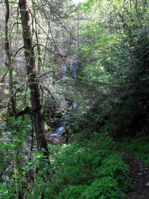 Taken April 25, 2012
