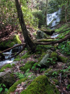 Taken April 25, 2012
