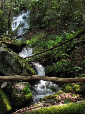 Taken April 25, 2012
