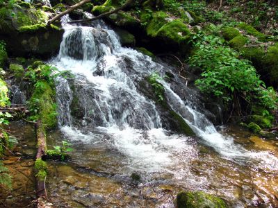 Taken April 25, 2012
