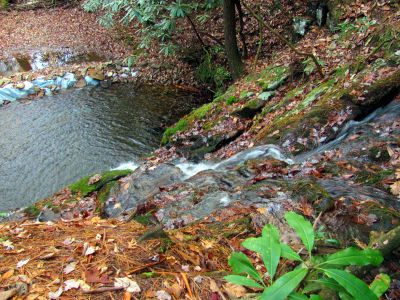 Looking off the top of the falls  (taken 11-16-2013)
