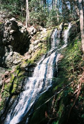 Sill Branch Falls upper
4-2009
