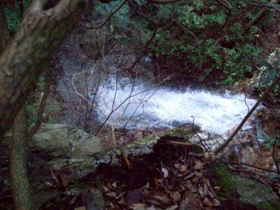 Lilybeth Falls (Devil's Fork Falls upper)
Taken by RAT on 11-14-2009

