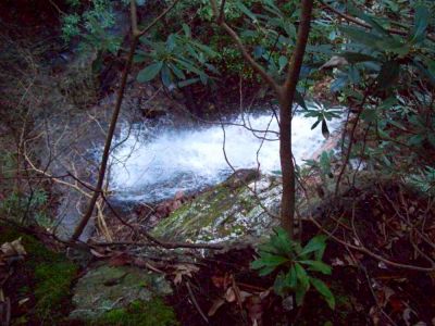 Lilybeth Falls (Devil's Fork Falls upper)
Taken by RAT on 11-14-2009
