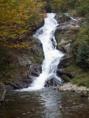 Spivey Falls lower
Taken 10-18-2009
