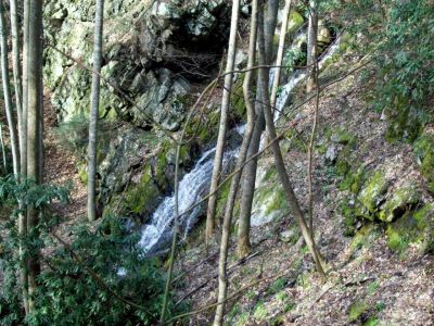 Sill Branch Falls upper
4-2009
