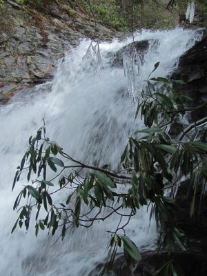 Red Fork Falls lower
(taken 1-28-2010)
