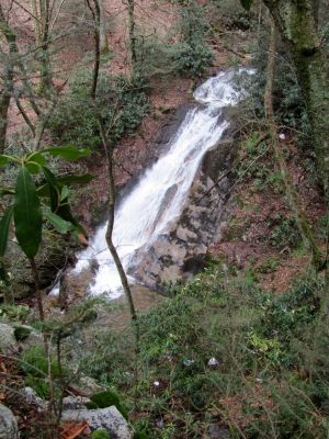 Rock Creek Falls (middle)
Taken 1-23-2010
