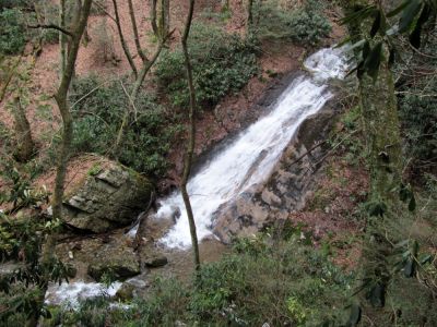 Rock Creek Falls (middle)
Taken 1-23-2010

