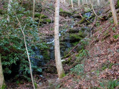Feeder Falls located on the right side of the Upper Sill Branch Falls Taken 2-9-2013
