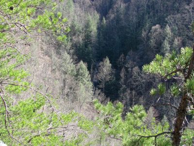 Sill Branch Falls (lower)
As seen from the Monkeyhead Rocks aka Sill Branch Overlook taken 3-19-2010
