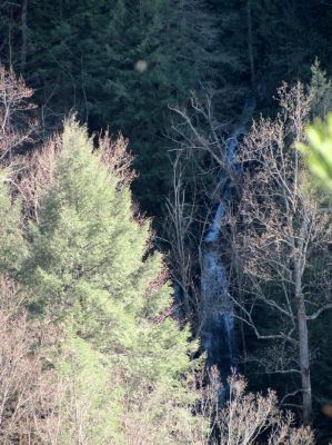 Sill Branch Falls (lower)
As seen from the Monkeyhead Rocks aka Sill Branch Overlook taken 3-19-2010
