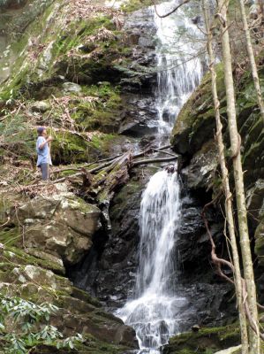 Simmons Branch Falls (upper)
Taken on 4-3-2010  (find Bol'dar) 
