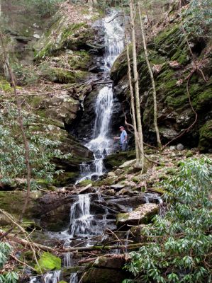 Simmons Branch Falls (upper)
Taken on 4-3-2010  (find Bol'dar) 
