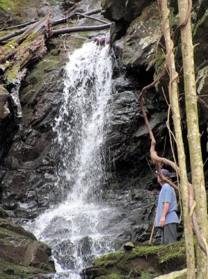 Simmons Branch Falls (upper)
Taken on 4-3-2010  (find Bol'dar) 
