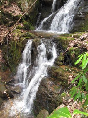 Simmons Branch Falls (middle)
Taken 4-3-2010

