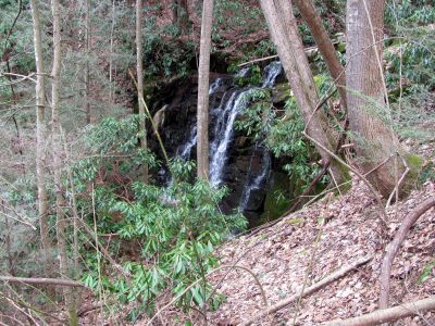 Simmons Branch Falls (middle)
Taken 4-3-2010
