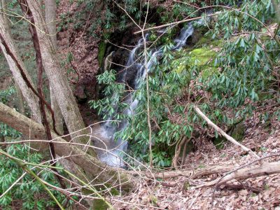 Simmons Branch falls (middle) 
Taken 4-3-2010
