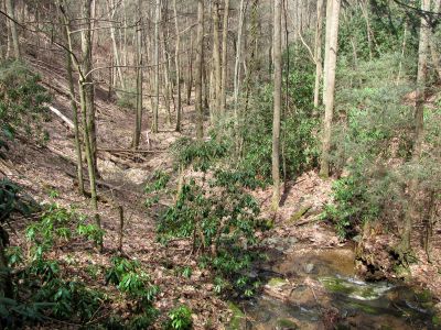 Simmons Branch falls (middle) 
view from top of middle falls   Taken 4-3-2010
