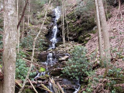 Simmons Branch Falls (upper) 
Taken 4-3-2010
