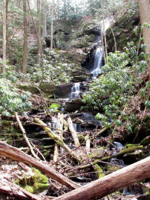 Simmons Branch Falls (upper) 
Taken 4-3-2010
