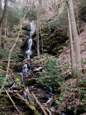 Simmons Branch Falls (upper) 
Taken 4-3-2010
