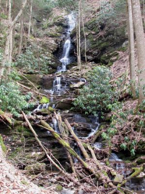 Simmons Branch Falls (upper) 
Taken 4-3-2010
