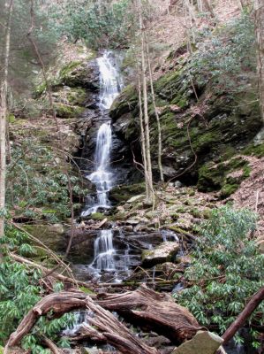 Simmons Branch Falls (upper) 
Taken 4-3-2010
