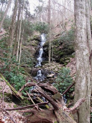 Simmons Branch Falls (upper) 
Taken 4-3-2010
