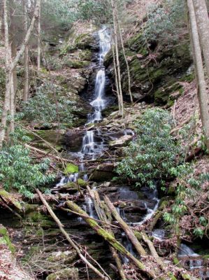 Simmons Branch Falls (upper) 
Taken 4-3-2010
