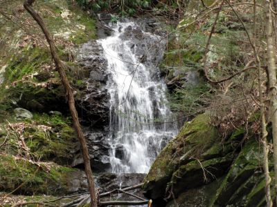 Simmons Branch Falls (upper) 
Taken 4-3-2010
