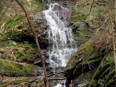 Simmons Branch Falls (upper) 
Taken 4-3-2010
