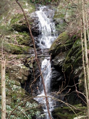 Simmons Branch Falls (upper) 
Taken 4-3-2010
