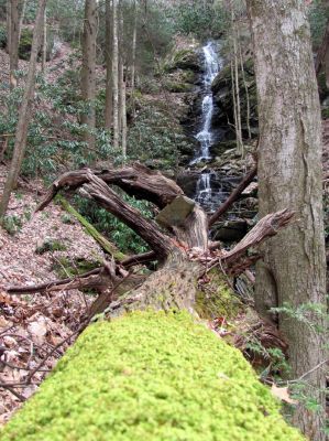 Simmons Branch Falls (upper) 
Taken 4-3-2010
