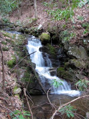 Small Falls (Clarks Creek)
Taken 4-2-2010
