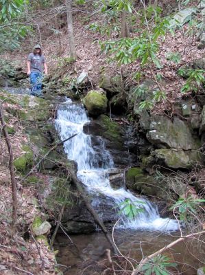 Small Falls (Clarks Creek)
Taken 4-2-2010
