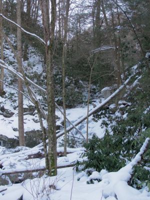 Squibb Creek Falls
Taken 2-19-2010
