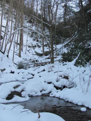 Squibb Creek Falls
Taken 2-19-2010

