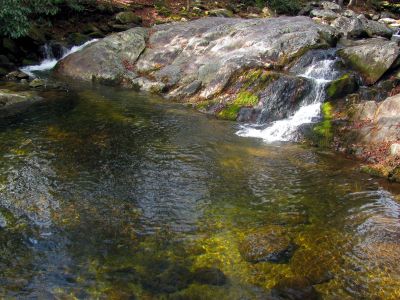 swimming hole and cascades on Steels Creek about a mile below the falls (Taken 12-19-2012)
