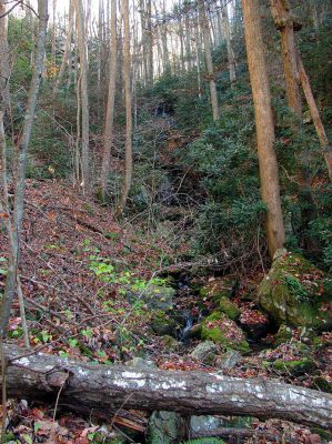 Sulphur Spring Branch Falls
First view of all the falls, hidden behind laurels.
