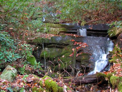 Sulphur Spring Branch Falls  (middle)
Middle falls.
