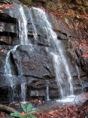 Sulphur Spring Branch Falls
Upper falls as seen from the left side.
